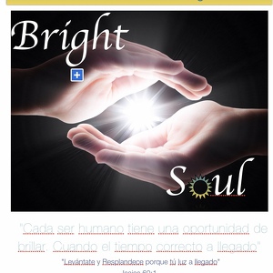 Fundraising Page: Bright Soul